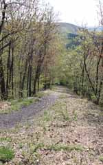 Mt Pisgah, Mauch Chunk Switchback