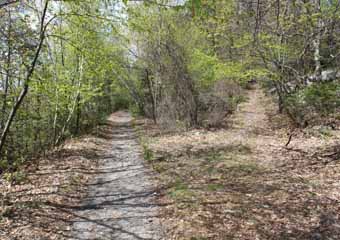 Mt Pisgah Pavilion, Mauch Chunk Switchback