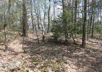 Mt Pisgah Pavilion, Mauch Chunk Switchback