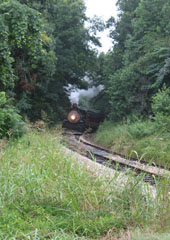 Magma Arizona #7, Texas State Railroad