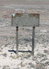 Historic Central Pacific Grade, Bovine