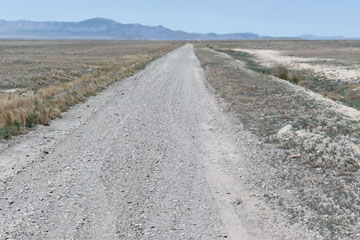 Historic Central Pacific Grade, Bovine
