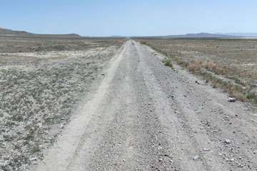 Historic Central Pacific Grade, Bovine