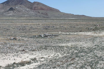 Historic Central Pacific Grade, Bovine