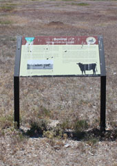 Historic Central Pacific Grade, Bovine