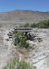 Historic Central Pacific Grade, Bovine