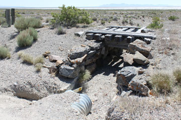 Historic Central Pacific Grade, Bovine