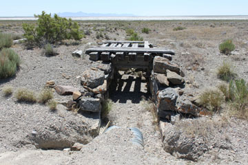 Historic Central Pacific Grade, Bovine