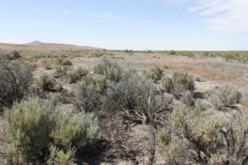 Historic Central Pacific Grade, Gravel Pit