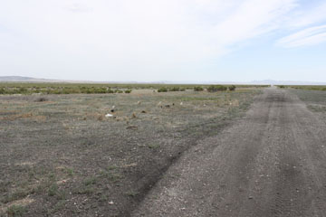 Historic Central Pacific Grade, Kelton