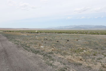 Historic Central Pacific Grade, Kelton