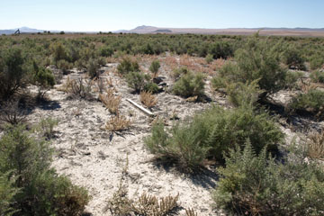 Historic Central Pacific Grade, Kelton