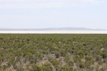Historic Central Pacific Grade, Kosmo