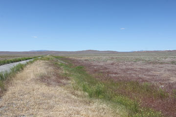 Historic Central Pacific Grade, Matlin