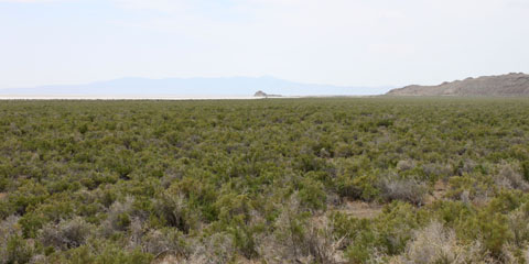Historic Central Pacific Grade, Monument