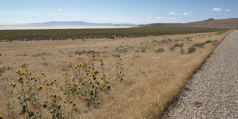 Historic Central Pacific Grade, Monument