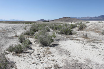 Historic Central Pacific Grade, Lucin