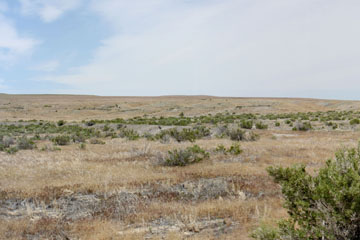 Historic Central Pacific Grade, Peplin