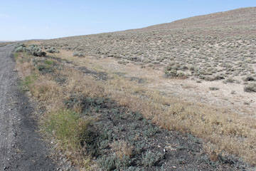 Historic Central Pacific Grade, Red Dome