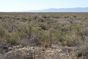 Historic Central Pacific Grade, Ten Mile