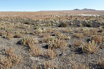 Historic Central Pacific Grade, Terrace