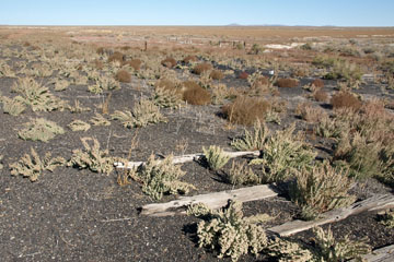 Historic Central Pacific Grade, Terrace