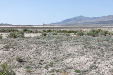 Umbria, Nevada