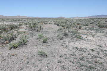 Umbria, Nevada