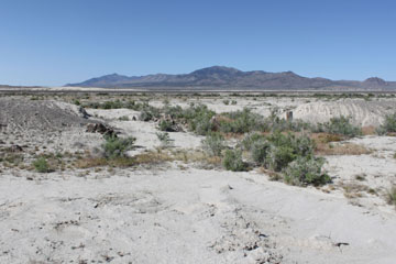 Umbria, Nevada