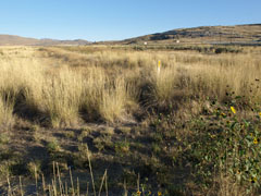 Golden Spike NHS, Union Pacific Grade