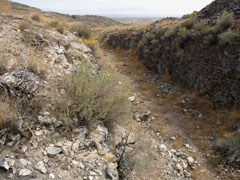 Golden Spike NHS, Last Cut