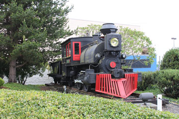 Satsop Railroad #1, Mineral