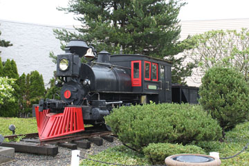 Satsop Railroad #1, Mineral