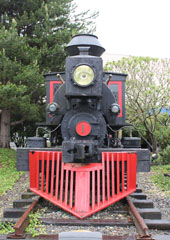 Satsop Railroad #1, Mineral