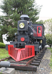 Satsop Railroad #1, Mineral