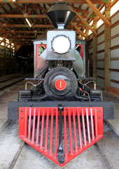 Satsop Railroad #1, Mineral