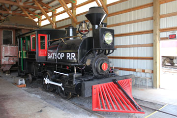 Satsop Railroad #1, Mineral